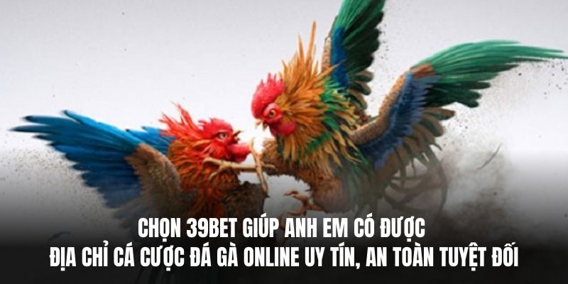 Chọn 39BET giúp anh em có được địa chỉ cá cược đá gà online uy tín, an toàn tuyệt đối.