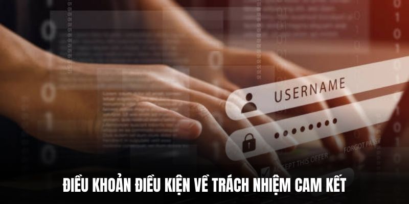 Điều khoản điều kiện về trách nhiệm cam kết